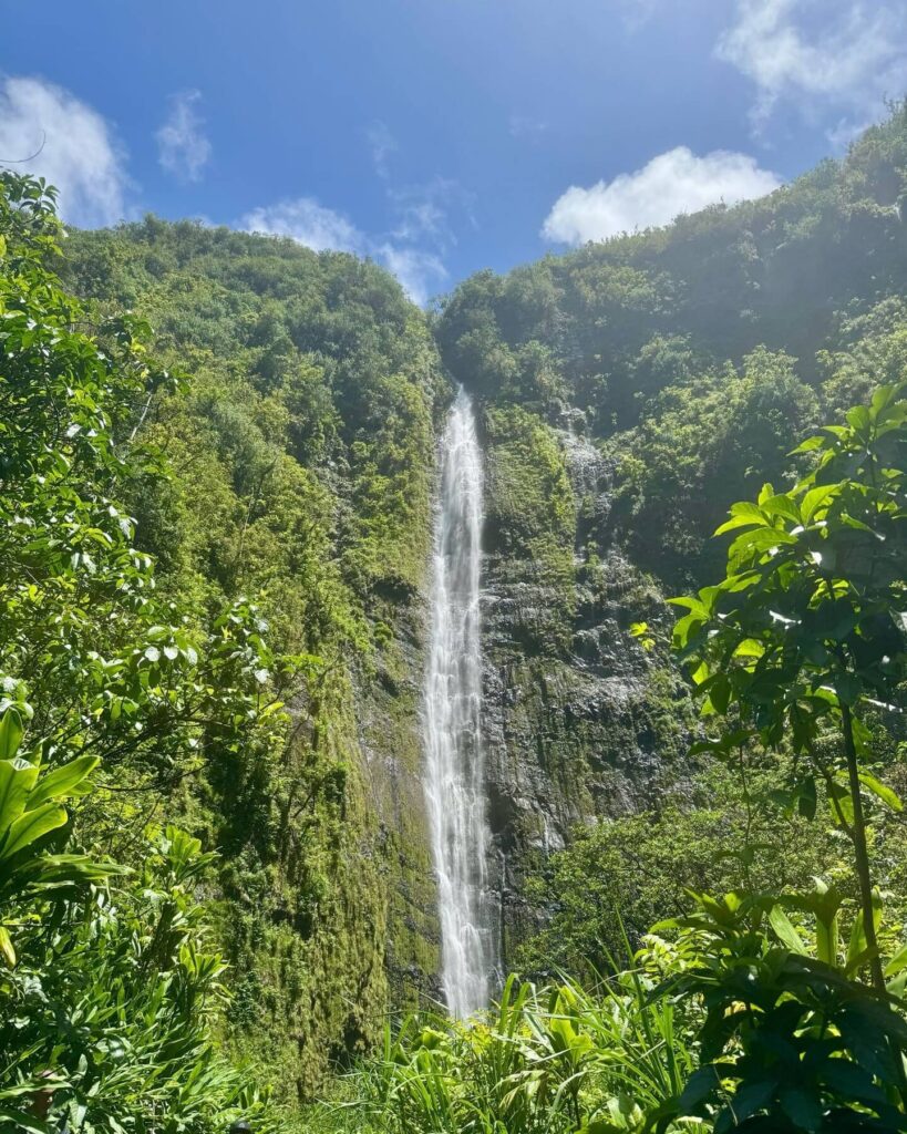 Towering Waimoku Falls framed by bamboo forest in Haleakalā NP