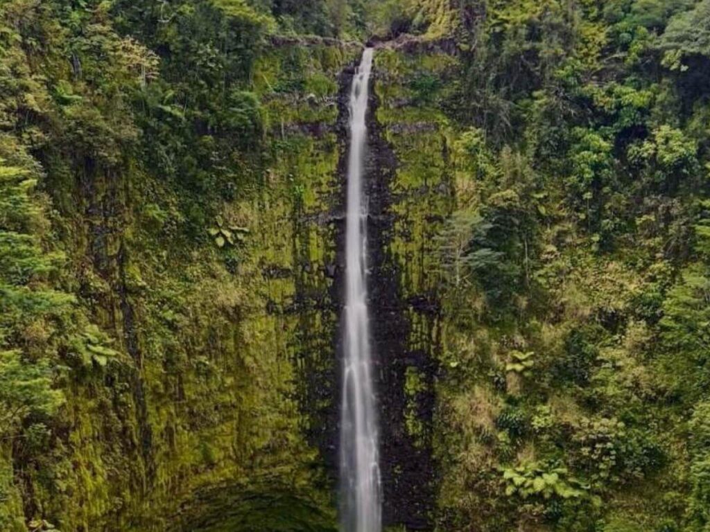 Akaka Falls dropping into a lush green gorge on the Big Island