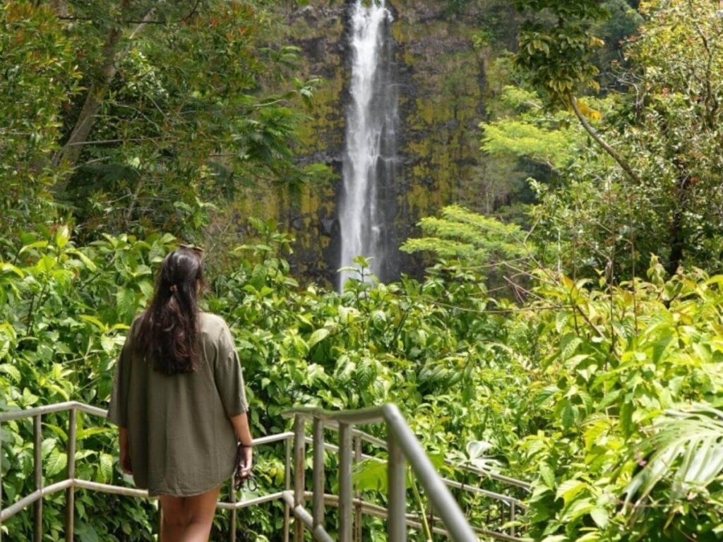 Main viewing platform overlooking Akaka Falls in Hawaii