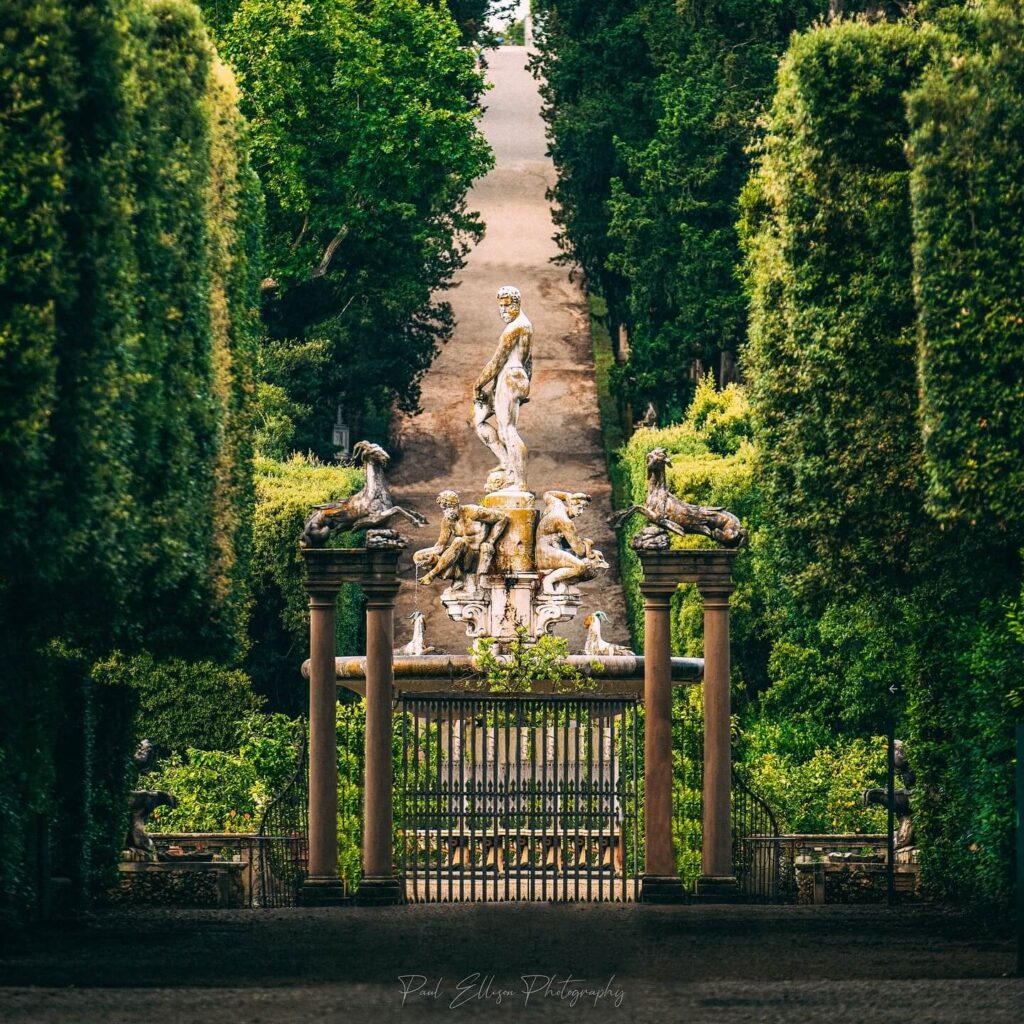 Hedge-lined walking path in Boboli Gardens with statues