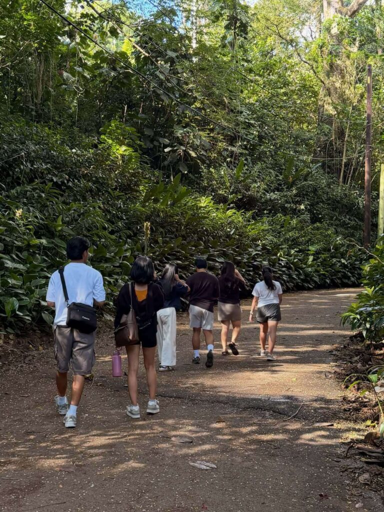 Crowds hiking the Manoa Falls Trail during the middle of the day