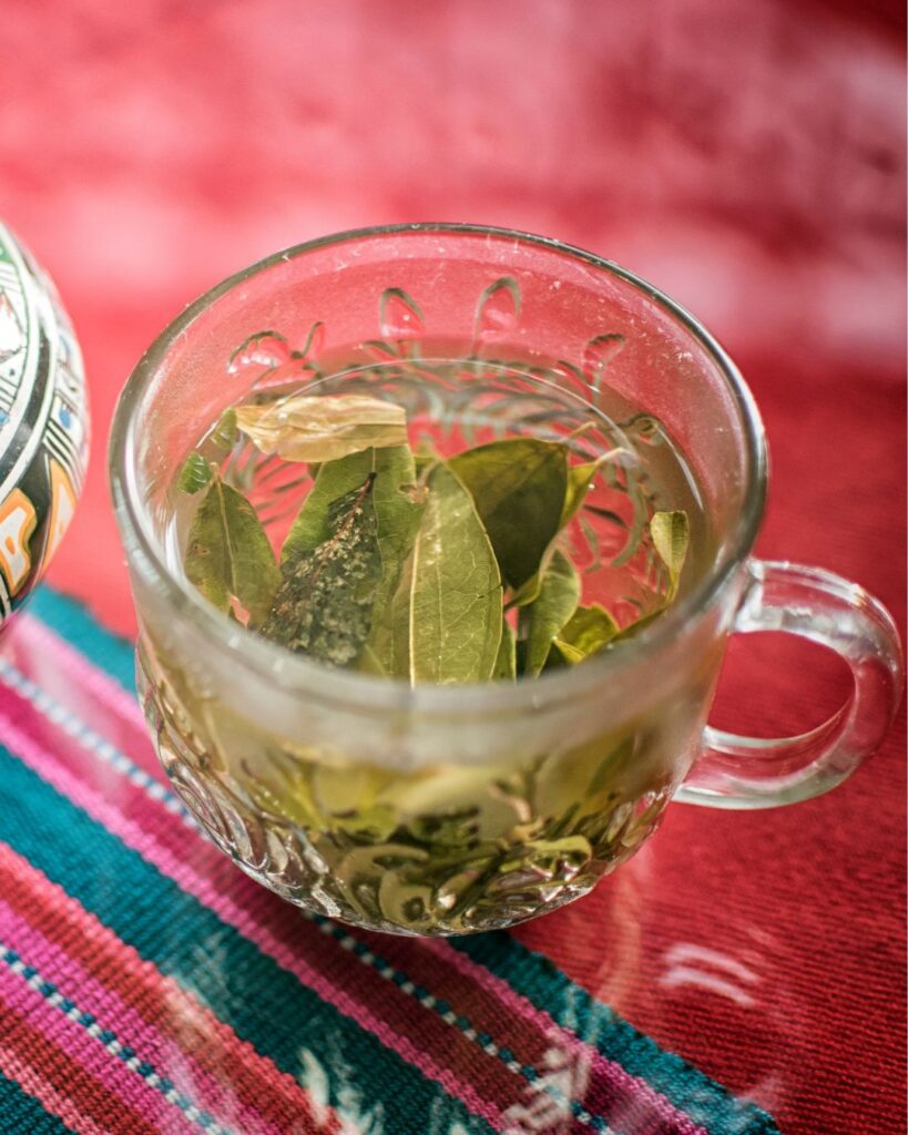 A cup of coca leaf tea on a wooden table with fresh leaves