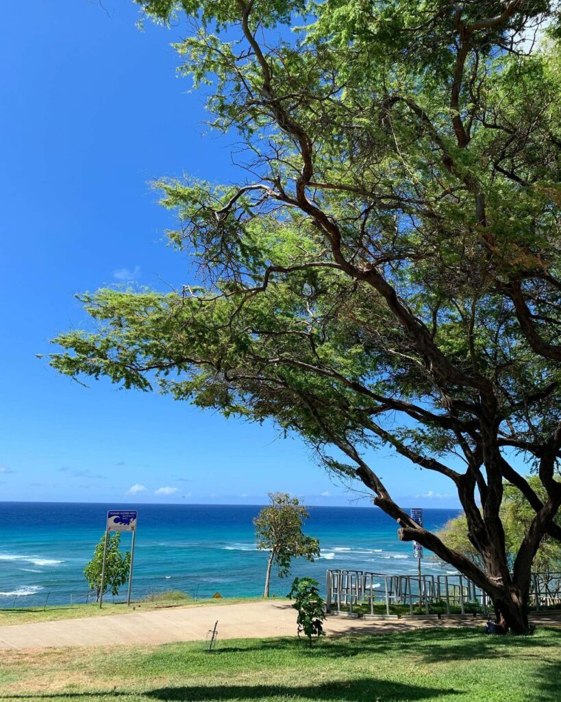 Diamond Head Beach Park 