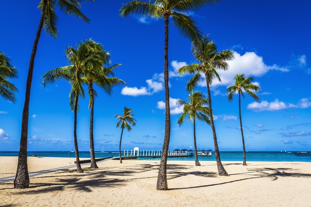 Wide open stretch of Fort DeRussy Beach with palm trees