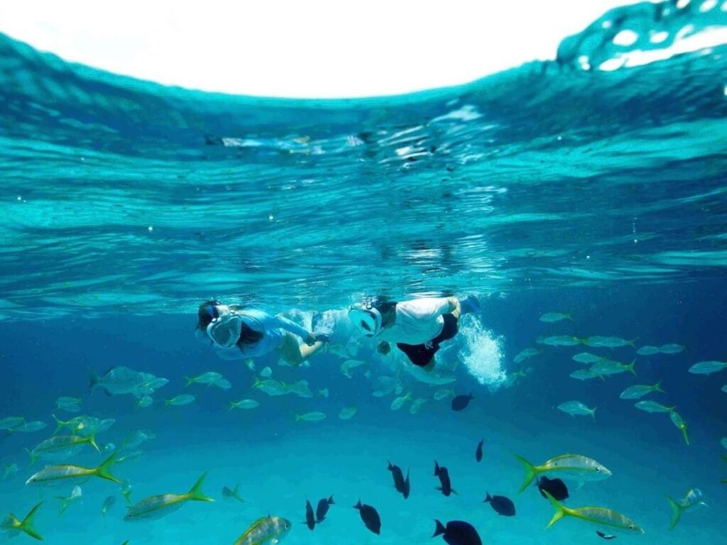 Hanauma Bay nature preserve on Oahu with coral reef and clear water for snorkeling