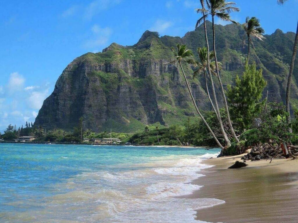 Tropical beach in Hawaii with palm trees, soft sand, and clear turquoise water
