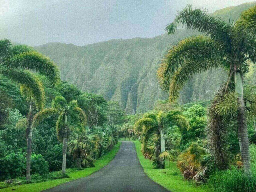 Ho‘omaluhia Botanical Garden with lush greenery and the Koʻolau Mountains in Kailua Oahu