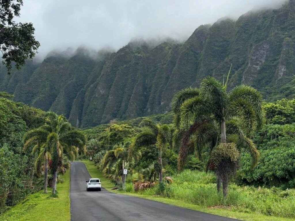 Scenic road through Ho‘omaluhia Botanical Garden surrounded by tropical greenery