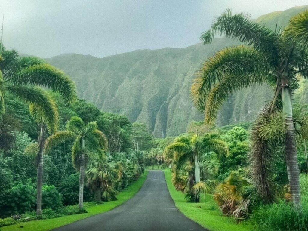 Lush landscape at Ho‘omaluhia Botanical Garden with the Koʻolau Mountains in the background