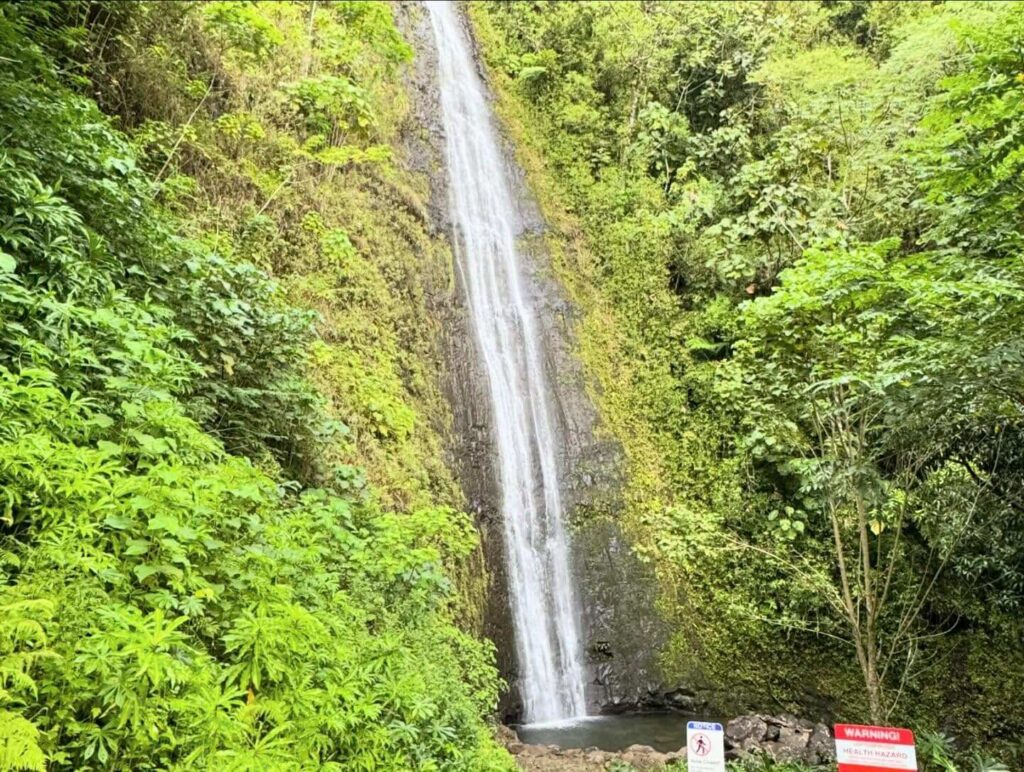 Hiker admiring Manoa Falls surrounded by tropical rainforest
