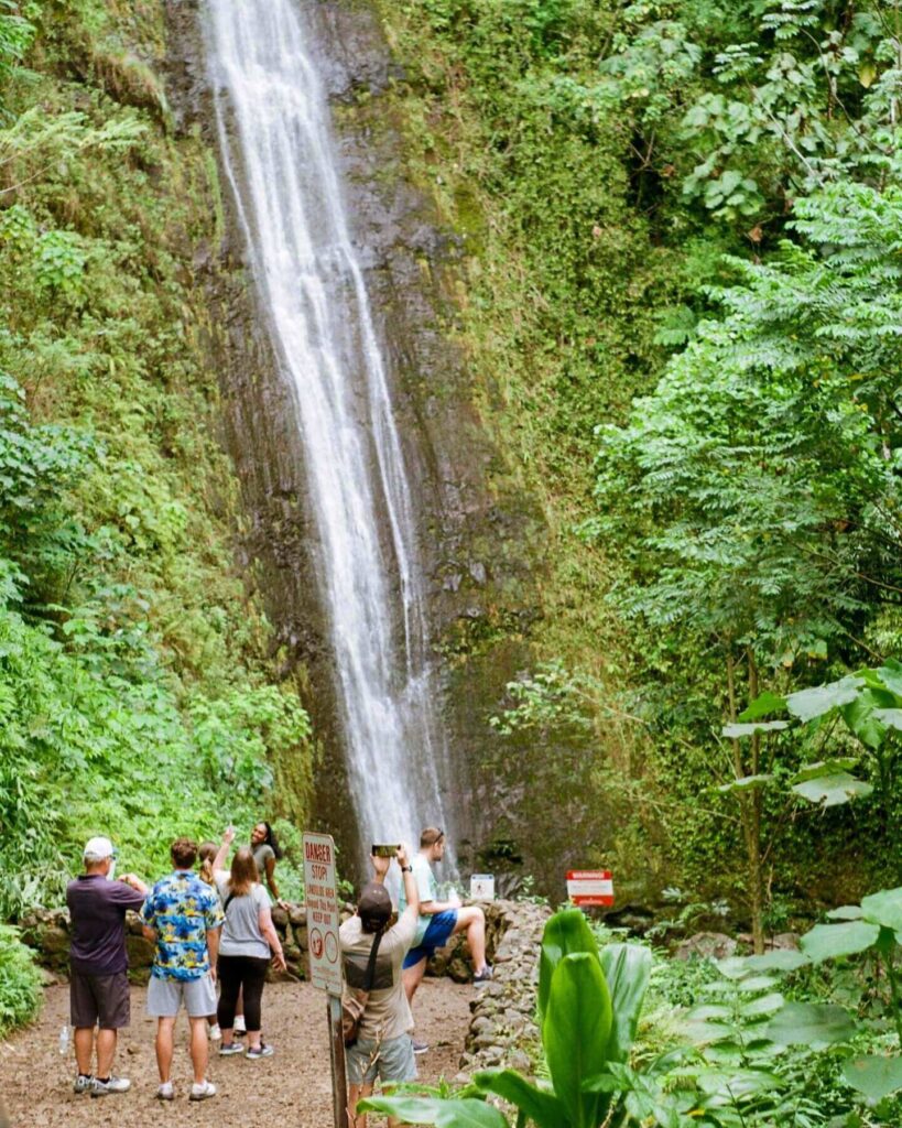 Hiker enjoying the Manoa Falls Trail early in the morning