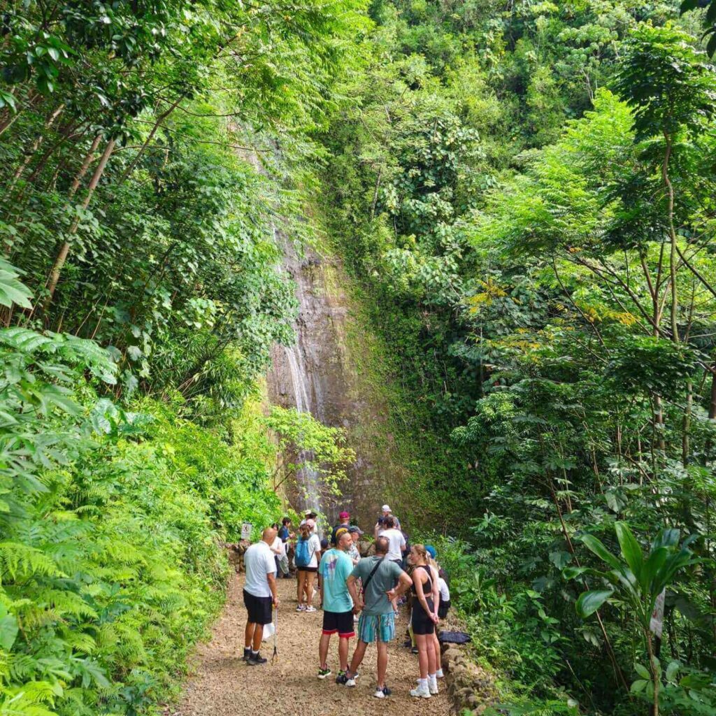 Sunny rainforest trail at Manoa Falls during summer