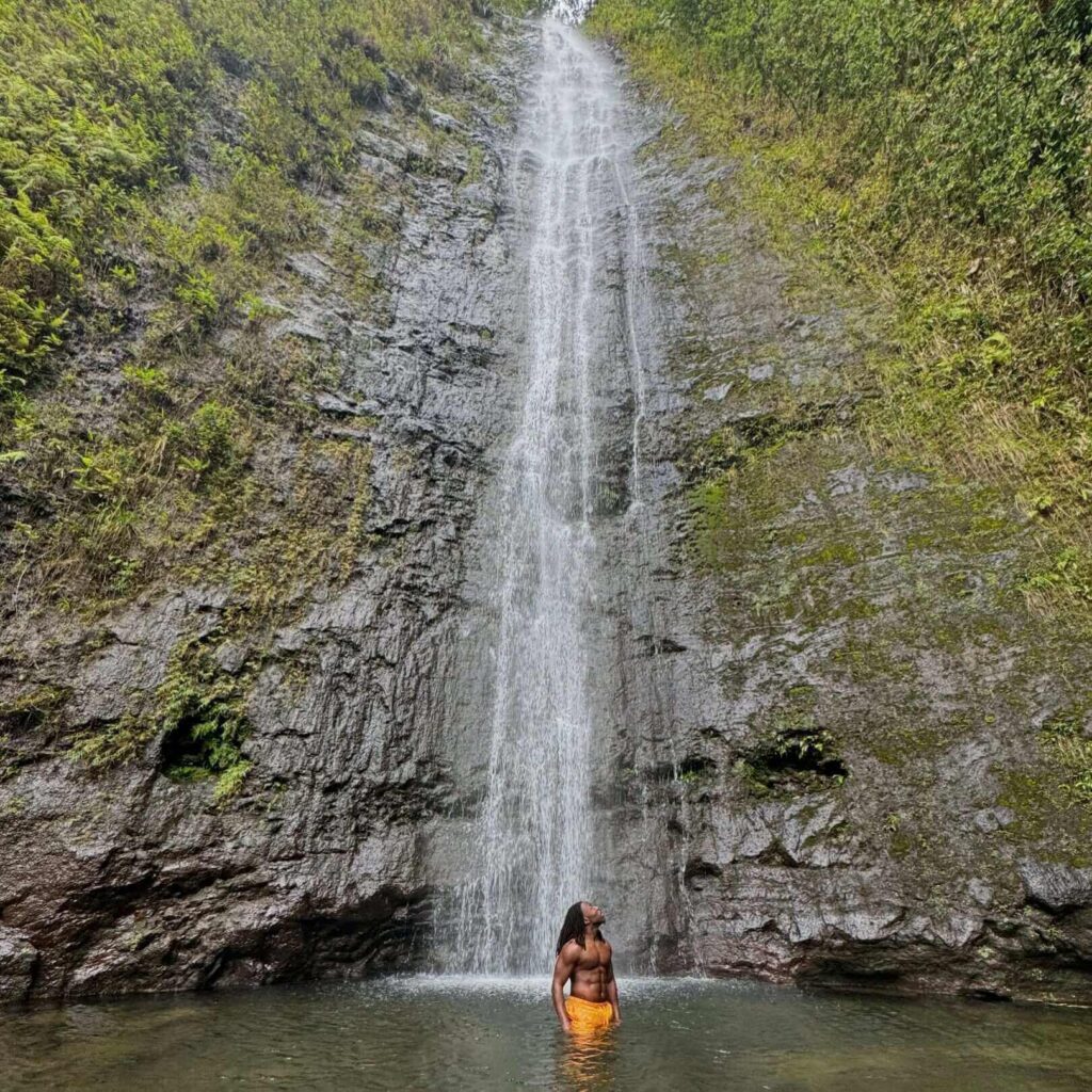Visitors viewing Manoa Falls from the designated viewing area