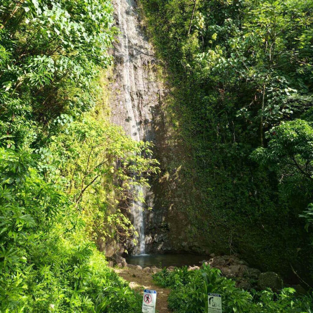 Manoa Falls waterfall surrounded by lush tropical rainforest