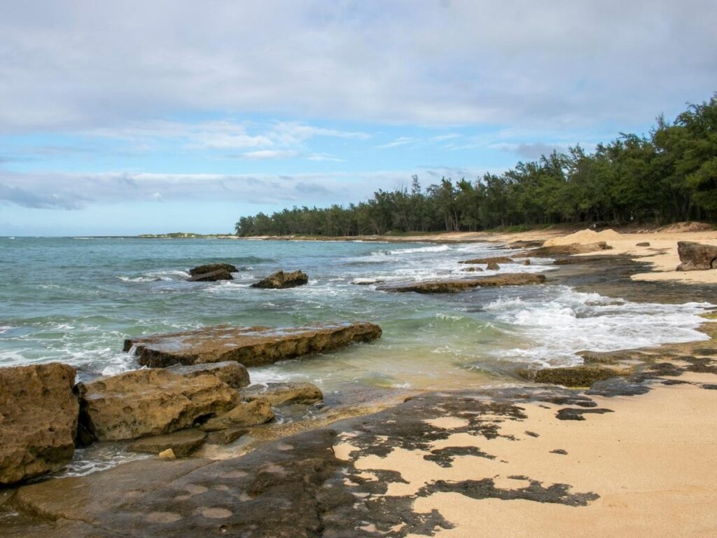 Aerial view of a beach on Oahu with turquoise water and sandy shoreline