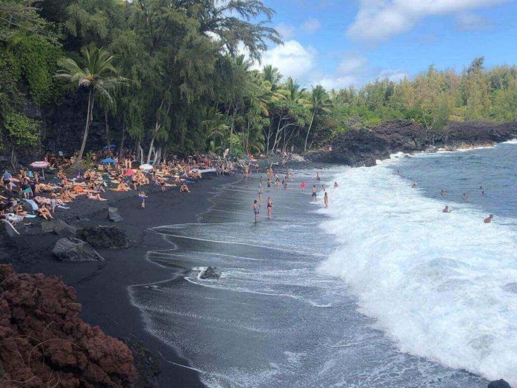 Punaluʻu Black Sand Beach on the Big Island with dark volcanic sand and palm trees