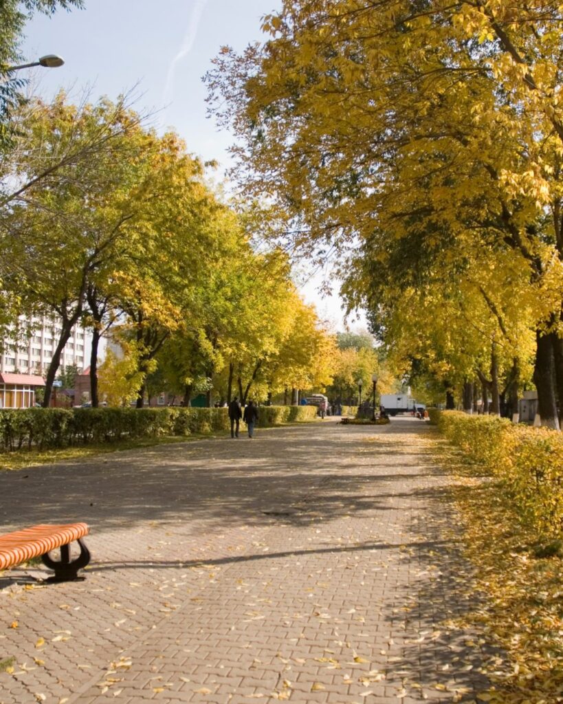 Golden-hour light on a quiet European street in shoulder season