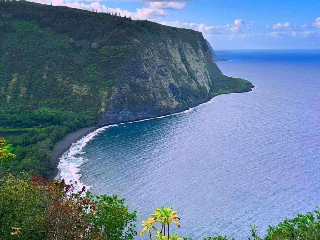 View from Waipio Valley Lookout showing steep green cliffs and black sand beach