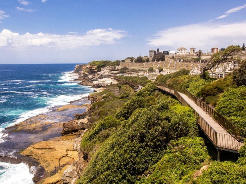 Scenic view along Sydney’s Bondi to Coogee coastal walk overlooking turquoise ocean.