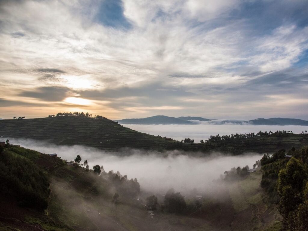 Bwindi Forest, Uganda