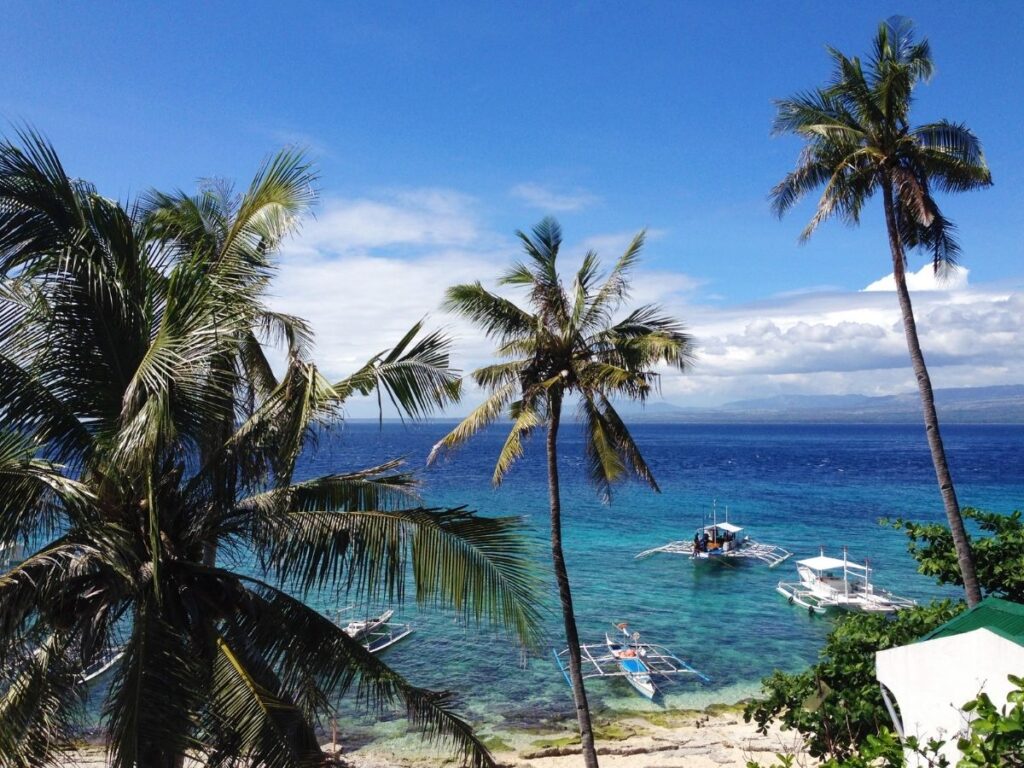 Dumaguete with palm trees and sea views