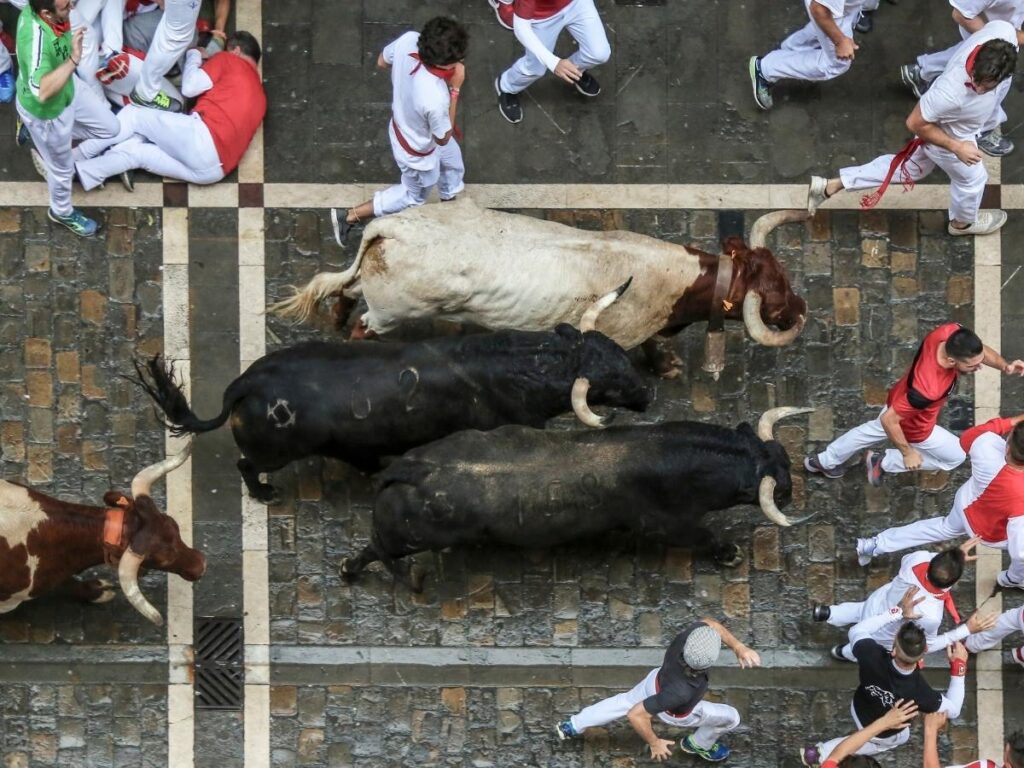 Running of the Bulls in Pamplona.