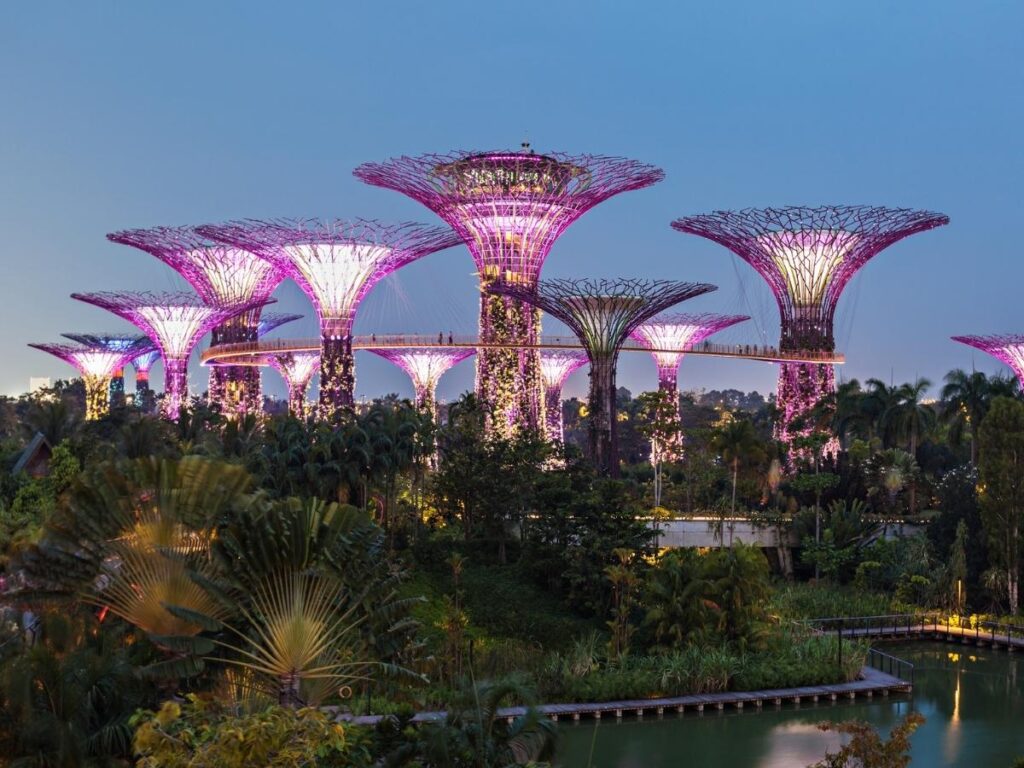 Gardens by the Bay Supertree light show in Singapore glowing against the night sky.