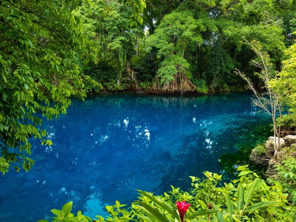 Crystal-clear blue hole in Vanuatu surrounded by rainforest