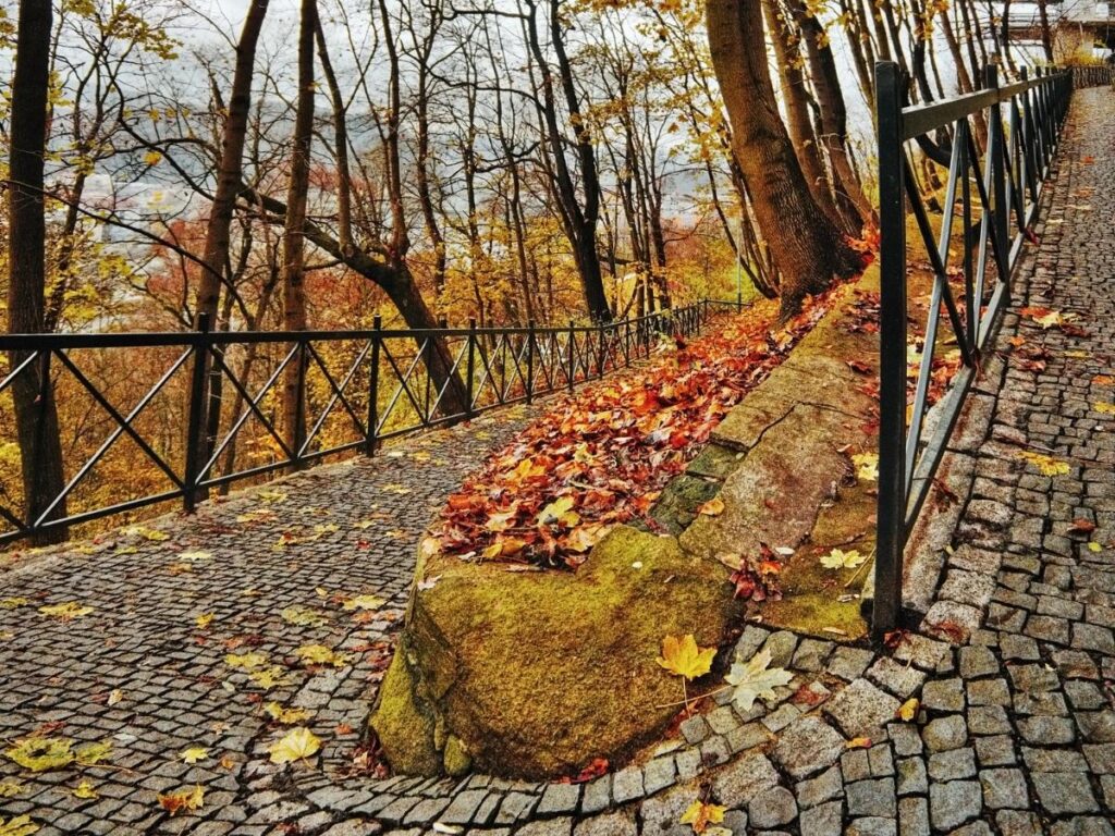 Paved scenic trail with handrails, designed for accessible walking tours.