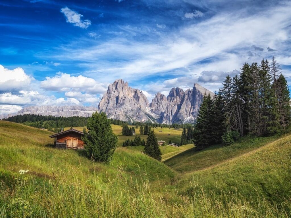 Green meadows of Alpe di Siusi with cows grazing and the Sciliar mountains in the background.