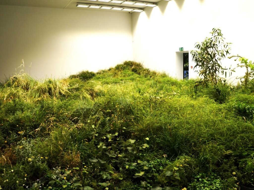 Pathway lined with trees in the Biennale Gardens in Castello, Venice.