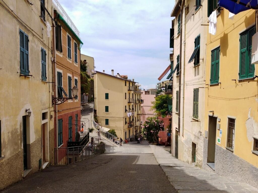 Riomaggiore narrow lanes leading down to the small colorful harbor.