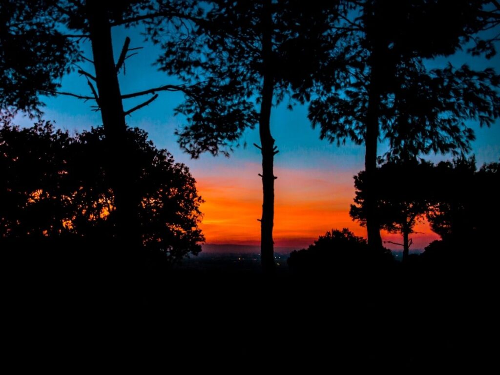 Sunset view over olive groves from a lookout point in Cisternino.