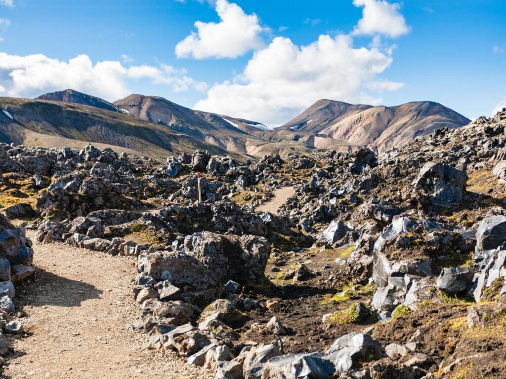 Walking along a marked trail through pine forest and old lava flows on Mount Etna’s slopes.