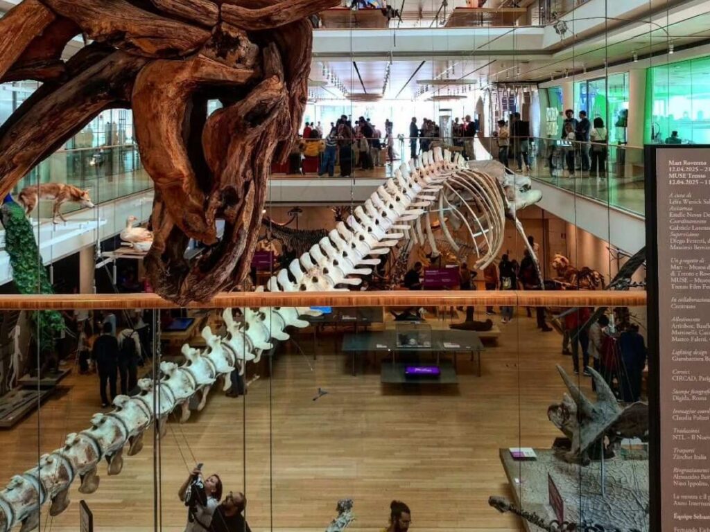 Family interacting with a hands-on exhibit at the MUSE science museum in Trento.