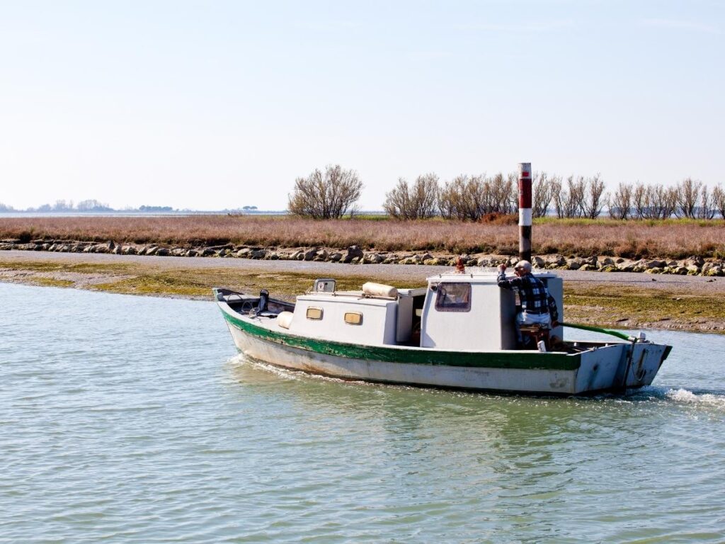 Small wooden boats moored in Grado lagoon with reeds and a calm sky.
