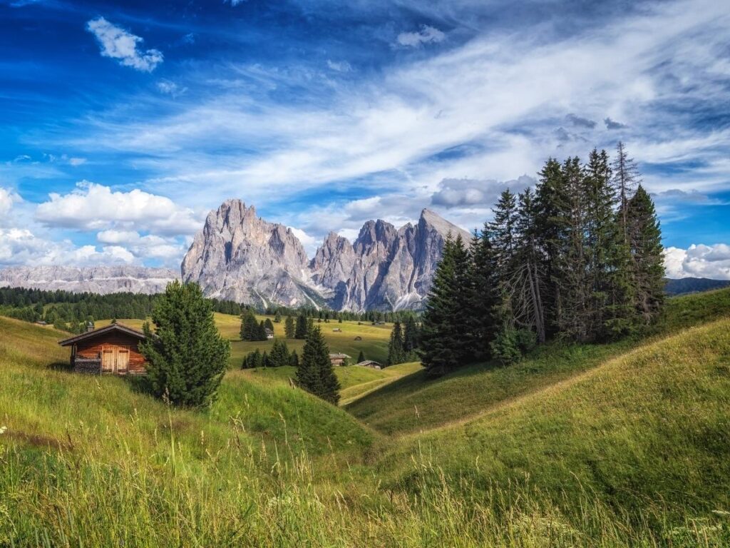 Panoramic view of Alpe di Siusi meadows at sunrise with wildflowers and Dolomite peaks in the background.