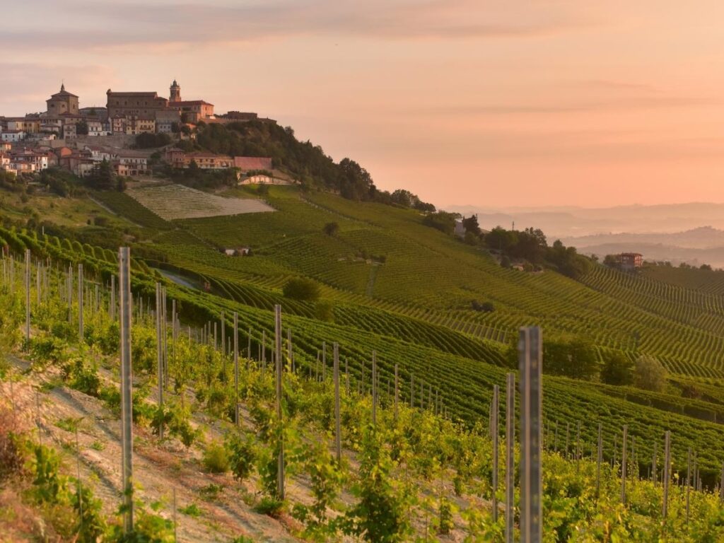 Sunset view from La Morra Belvedere over vineyards and hilltop villages
