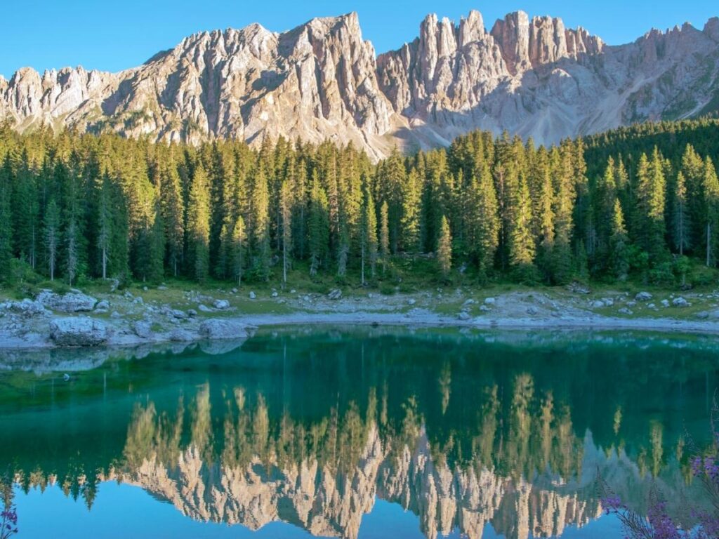 Emerald water of Lago di Carezza reflecting the Latemar massif, framed by evergreen trees.