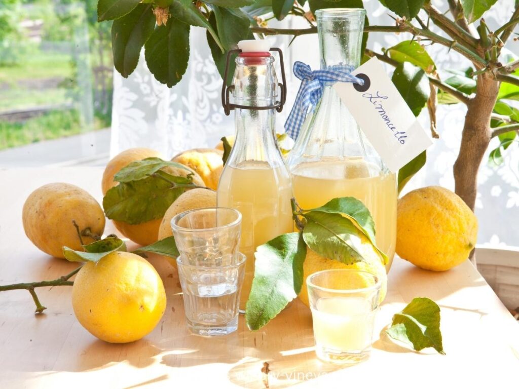 Small bottles of homemade limoncello displayed in Amalfi.