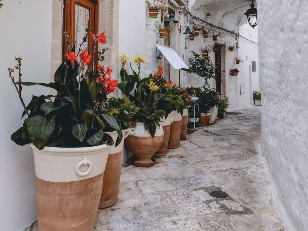Whitewashed alleys of Locorotondo decorated with balconies of geraniums.