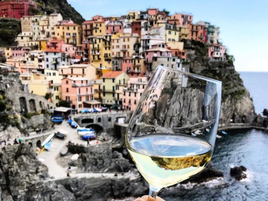 Terraced vineyard above Manarola with a tasting set and sea view.