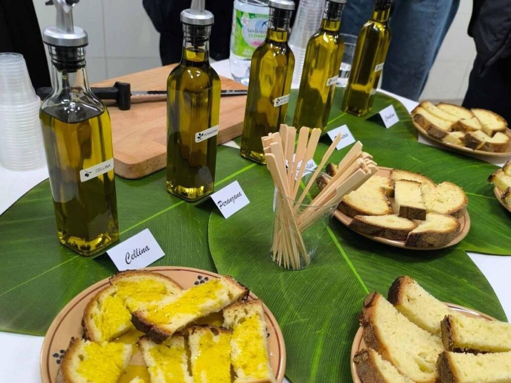 Olive oil tasting at a masseria farmhouse with ancient olive trees.