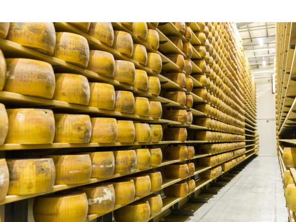 Rows of Parmigiano-Reggiano cheese wheels aging in a dairy near Parma