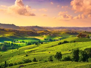 Best Things to Do in Piedmont