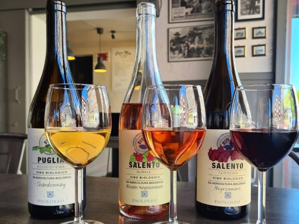 Sunset over Negroamaro vineyards in Salento with wine glass.