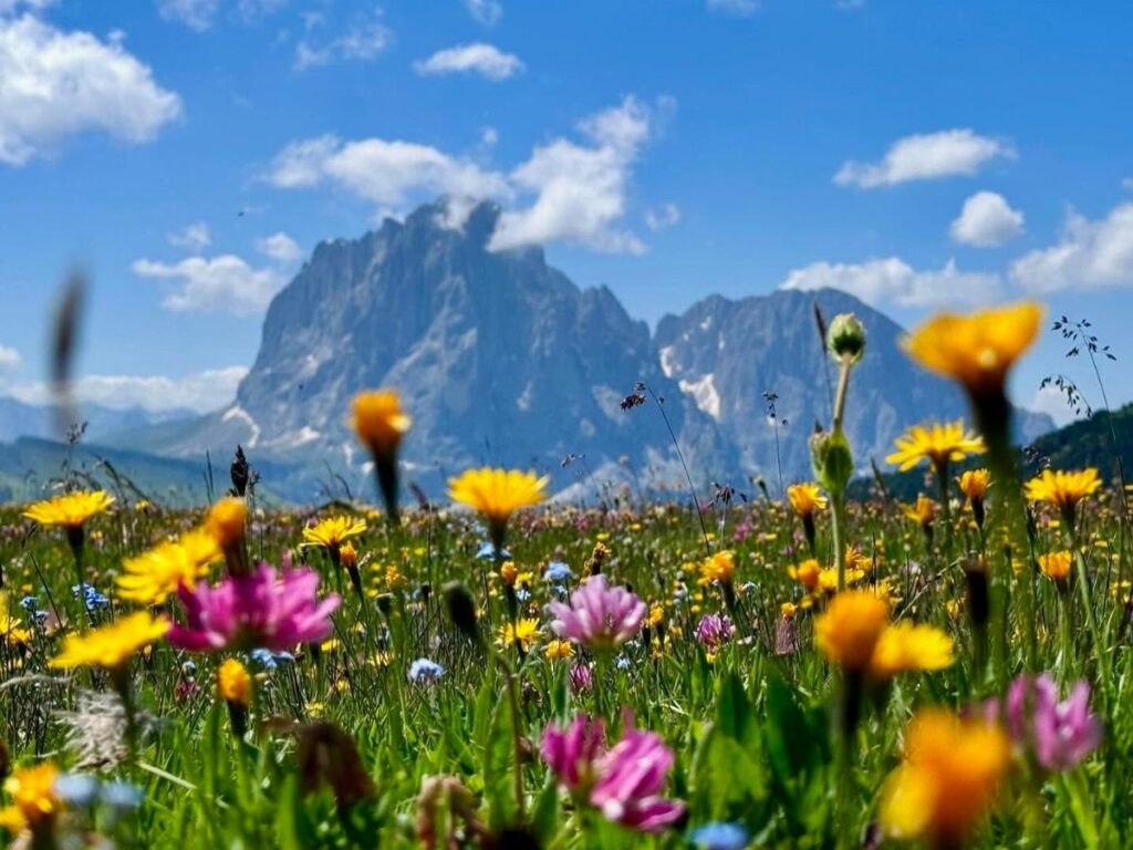 Hikers on the Seceda ridge above Ortisei, with sharp rock formations and sweeping valley views.