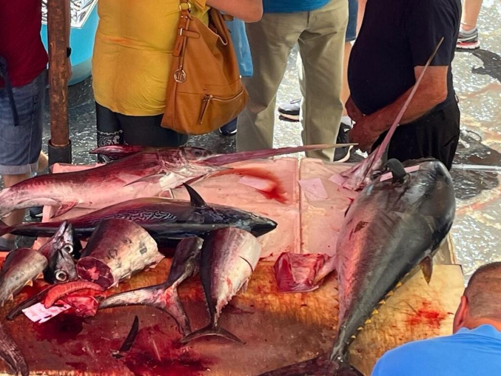 Morning at Catania’s fish market with swordfish and fresh seafood on display