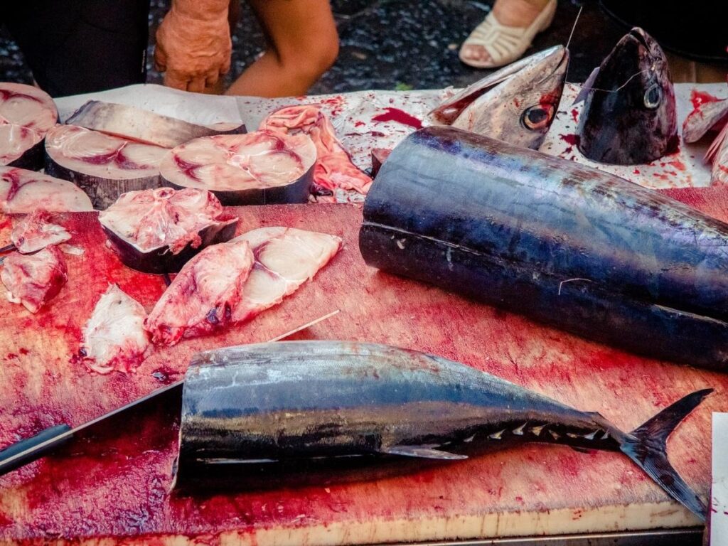 Bustling Ballarò market in Palermo with vendors shouting and stalls full of citrus fruits, swordfish, and olives.”
