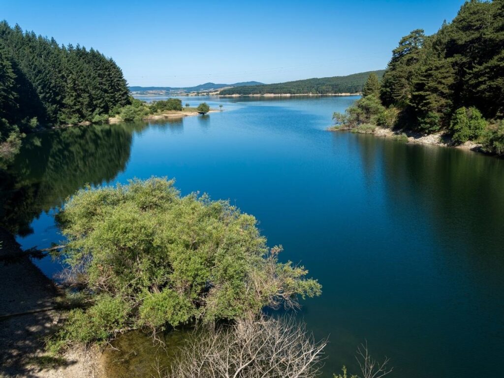 Lake Cecita and pine forest in Sila National Park, Calabria.”